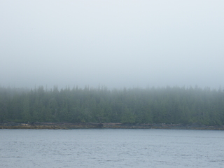 Filename=DSCF7229.JPG
Filesize=2912KiB
Dimensions=3264x2448
Date added=Sep 15, 2019 DSCF7229.JPG