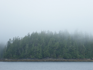 Filename=DSCF7230.JPG
Filesize=2916KiB
Dimensions=3264x2448
Date added=Sep 15, 2019 DSCF7230.JPG