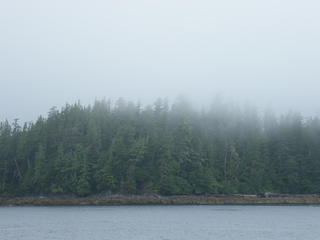 Filename=DSCF7231.JPG
Filesize=3056KiB
Dimensions=3264x2448
Date added=Sep 15, 2019 DSCF7231.JPG