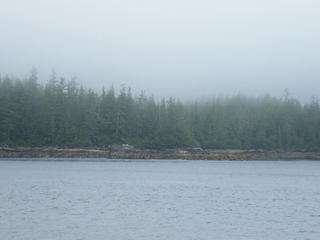 Filename=DSCF7232.JPG
Filesize=3246KiB
Dimensions=3264x2448
Date added=Sep 15, 2019 DSCF7232.JPG