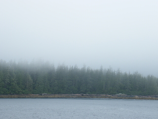 Filename=DSCF7233.JPG
Filesize=2786KiB
Dimensions=3264x2448
Date added=Sep 15, 2019 DSCF7233.JPG