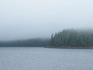 Filename=DSCF7234.JPG
Filesize=3061KiB
Dimensions=3264x2448
Date added=Sep 15, 2019 DSCF7234.JPG