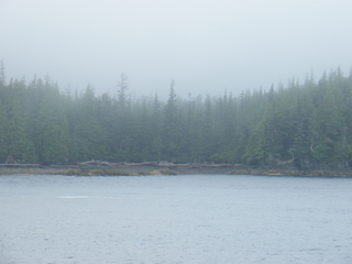 Filename=DSCF7235.JPG
Filesize=3035KiB
Dimensions=3264x2448
Date added=Sep 15, 2019 DSCF7235.JPG