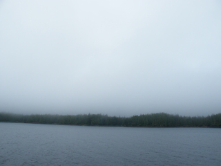 Filename=DSCF7237.JPG
Filesize=2614KiB
Dimensions=3264x2448
Date added=Sep 15, 2019 DSCF7237.JPG