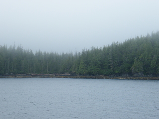 Filename=DSCF7239.JPG
Filesize=3257KiB
Dimensions=3264x2448
Date added=Sep 15, 2019 DSCF7239.JPG