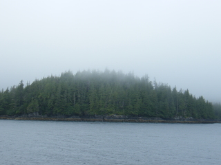 Filename=DSCF7241.JPG
Filesize=2859KiB
Dimensions=3264x2448
Date added=Sep 15, 2019 DSCF7241.JPG