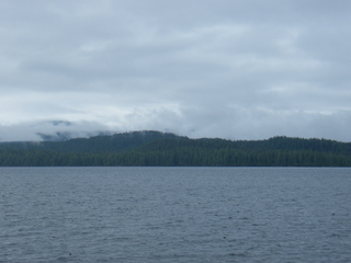 Filename=DSCF7247.JPG
Filesize=3424KiB
Dimensions=3264x2448
Date added=Sep 15, 2019 DSCF7247.JPG