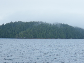 Filename=DSCF7250.JPG
Filesize=2780KiB
Dimensions=3264x2448
Date added=Sep 15, 2019 DSCF7250.JPG