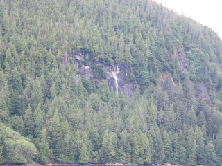 Filename=DSCF7261.JPG
Filesize=3120KiB
Dimensions=3264x2448
Date added=Sep 15, 2019 DSCF7261.JPG