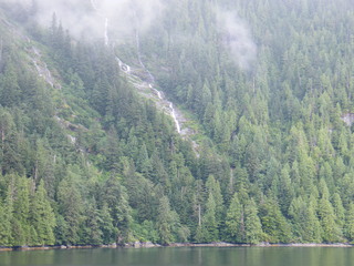 Filename=DSCF7270.JPG
Filesize=2990KiB
Dimensions=3264x2448
Date added=Sep 15, 2019 DSCF7270.JPG