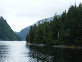 Filename=DSCF7284.JPG
Filesize=2838KiB
Dimensions=3264x2448
Date added=Sep 15, 2019 DSCF7284.JPG