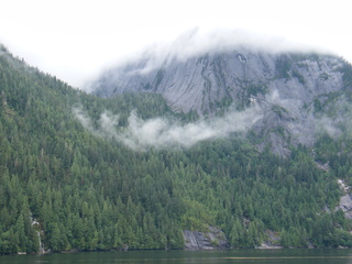 Filename=DSCF7290.JPG
Filesize=2779KiB
Dimensions=3264x2448
Date added=Sep 15, 2019 DSCF7290.JPG