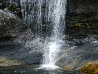 Filename=DSCF7303.JPG
Filesize=3120KiB
Dimensions=3264x2448
Date added=Sep 15, 2019 DSCF7303.JPG