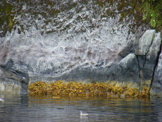 Filename=DSCF7331.JPG
Filesize=3355KiB
Dimensions=3264x2448
Date added=Sep 15, 2019 DSCF7331.JPG