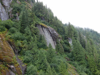 Filename=DSCF7335.JPG
Filesize=2951KiB
Dimensions=3264x2448
Date added=Sep 15, 2019 DSCF7335.JPG