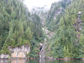 Filename=DSCF7338.JPG
Filesize=2996KiB
Dimensions=3264x2448
Date added=Sep 15, 2019 DSCF7338.JPG