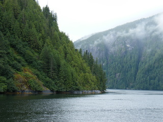 Filename=DSCF7339.JPG
Filesize=2892KiB
Dimensions=3264x2448
Date added=Sep 15, 2019 DSCF7339.JPG