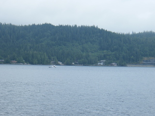 Filename=DSCF7365.JPG
Filesize=2842KiB
Dimensions=3264x2448
Date added=Sep 15, 2019 DSCF7365.JPG