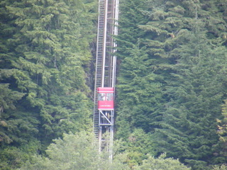 Filename=DSCF7397.JPG
Filesize=3330KiB
Dimensions=3264x2448
Date added=Sep 15, 2019 DSCF7397.JPG