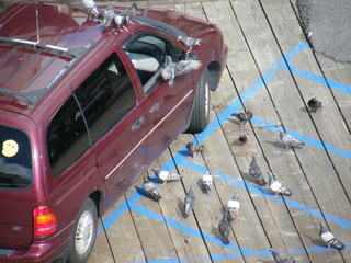 Filename=DSCF7413.JPG
Filesize=3572KiB
Dimensions=3264x2448
Date added=Sep 15, 2019 DSCF7413.JPG