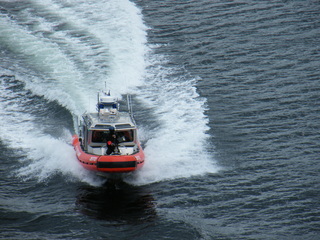 Filename=DSCF7462.JPG
Filesize=3167KiB
Dimensions=3264x2448
Date added=Sep 15, 2019 DSCF7462.JPG