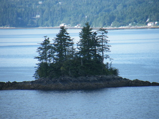 Filename=DSCF7476.JPG
Filesize=3138KiB
Dimensions=3264x2448
Date added=Sep 15, 2019 DSCF7476.JPG