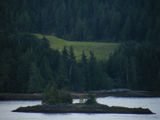 Filename=DSCF7479.JPG
Filesize=3462KiB
Dimensions=3264x2448
Date added=Sep 15, 2019 DSCF7479.JPG