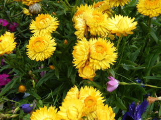 Filename=DSCF7538.JPG
Filesize=2982KiB
Dimensions=3264x2448
Date added=Sep 15, 2019 DSCF7538.JPG