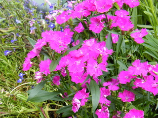 Filename=DSCF7539.JPG
Filesize=2978KiB
Dimensions=3264x2448
Date added=Sep 15, 2019 DSCF7539.JPG