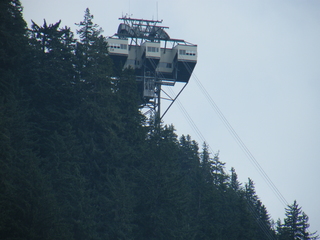 Filename=DSCF7573.JPG
Filesize=3438KiB
Dimensions=3264x2448
Date added=Sep 15, 2019 DSCF7573.JPG