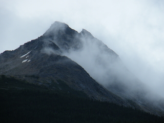 Filename=DSCF7689.JPG
Filesize=3016KiB
Dimensions=3264x2448
Date added=Sep 15, 2019 DSCF7689.JPG