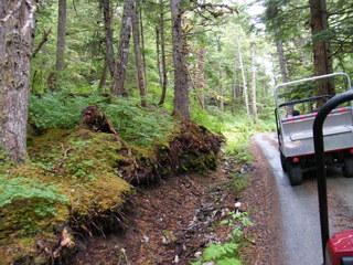 Filename=DSCF7699.JPG
Filesize=3095KiB
Dimensions=3264x2448
Date added=Sep 15, 2019 DSCF7699.JPG