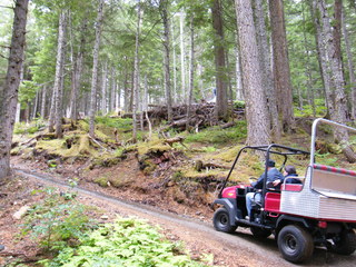 Filename=DSCF7704.JPG
Filesize=3096KiB
Dimensions=3264x2448
Date added=Sep 15, 2019 DSCF7704.JPG