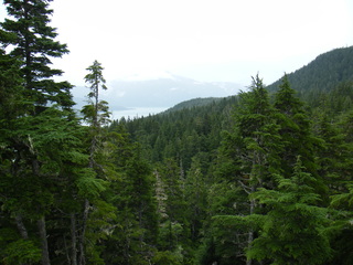 Filename=DSCF7713.JPG
Filesize=2854KiB
Dimensions=3264x2448
Date added=Sep 15, 2019 DSCF7713.JPG