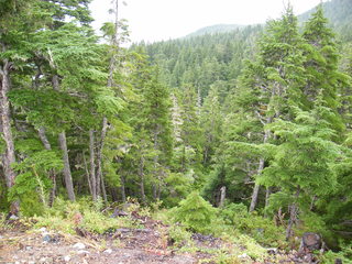 Filename=DSCF7715.JPG
Filesize=3115KiB
Dimensions=3264x2448
Date added=Sep 15, 2019 DSCF7715.JPG