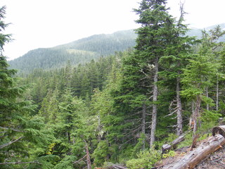 Filename=DSCF7717.JPG
Filesize=3025KiB
Dimensions=3264x2448
Date added=Sep 15, 2019 DSCF7717.JPG