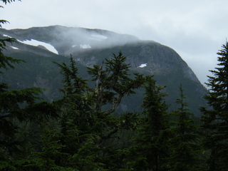 Filename=DSCF7718.JPG
Filesize=2684KiB
Dimensions=3264x2448
Date added=Sep 15, 2019 DSCF7718.JPG