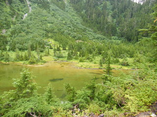 Filename=DSCF7730.JPG
Filesize=3242KiB
Dimensions=3264x2448
Date added=Sep 15, 2019 DSCF7730.JPG