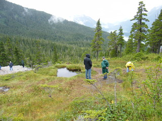 Filename=DSCF7747.JPG
Filesize=3074KiB
Dimensions=3264x2448
Date added=Sep 15, 2019 DSCF7747.JPG