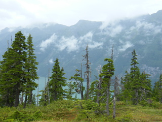 Filename=DSCF7751.JPG
Filesize=3029KiB
Dimensions=3264x2448
Date added=Sep 15, 2019 DSCF7751.JPG