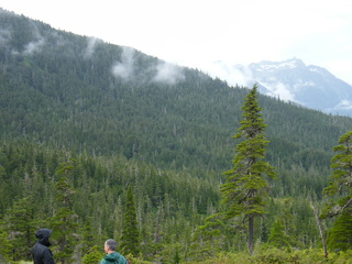 Filename=DSCF7759.JPG
Filesize=2941KiB
Dimensions=3264x2448
Date added=Sep 15, 2019 DSCF7759.JPG