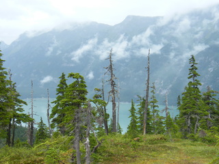 Filename=DSCF7760.JPG
Filesize=2950KiB
Dimensions=3264x2448
Date added=Sep 15, 2019 DSCF7760.JPG