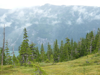 Filename=DSCF7761.JPG
Filesize=2937KiB
Dimensions=3264x2448
Date added=Sep 15, 2019 DSCF7761.JPG