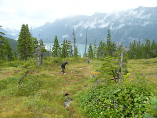 Filename=DSCF7768.JPG
Filesize=3064KiB
Dimensions=3264x2448
Date added=Sep 15, 2019 DSCF7768.JPG