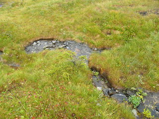 Filename=DSCF7770.JPG
Filesize=3205KiB
Dimensions=3264x2448
Date added=Sep 15, 2019 DSCF7770.JPG