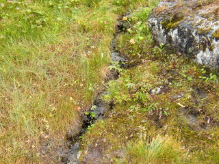 Filename=DSCF7777.JPG
Filesize=3257KiB
Dimensions=3264x2448
Date added=Sep 15, 2019 DSCF7777.JPG