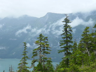 Filename=DSCF7791.JPG
Filesize=2695KiB
Dimensions=3264x2448
Date added=Sep 15, 2019 DSCF7791.JPG