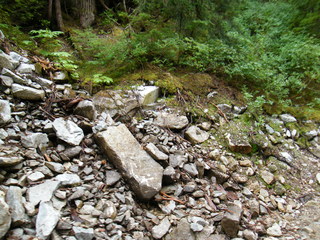 Filename=DSCF7799.JPG
Filesize=3142KiB
Dimensions=3264x2448
Date added=Sep 15, 2019 DSCF7799.JPG