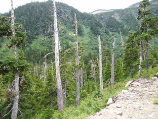 Filename=DSCF7814.JPG
Filesize=3044KiB
Dimensions=3264x2448
Date added=Sep 15, 2019 DSCF7814.JPG