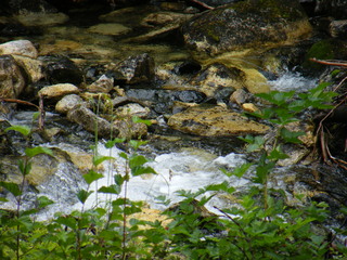 Filename=DSCF7820.JPG
Filesize=3180KiB
Dimensions=3264x2448
Date added=Sep 15, 2019 DSCF7820.JPG